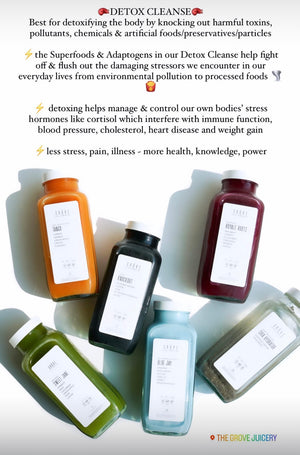 3-Day Wellness Cleanse